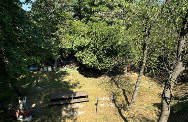 The Green Window - Apartment - Foto 23