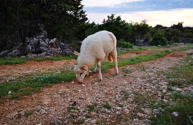 Naomi's Sunshine - Foto 47