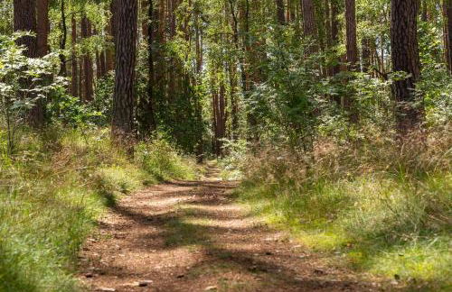 Pommernhaus Vorsee am Kiefernwald - Foto 30