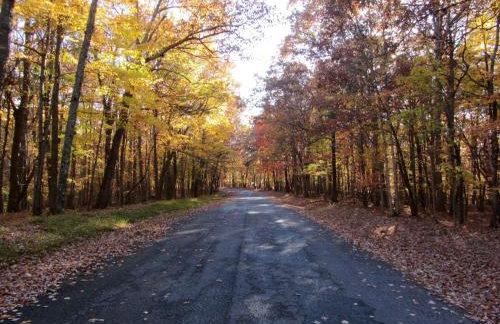 Cute and Comfy Cabin - Foto 53