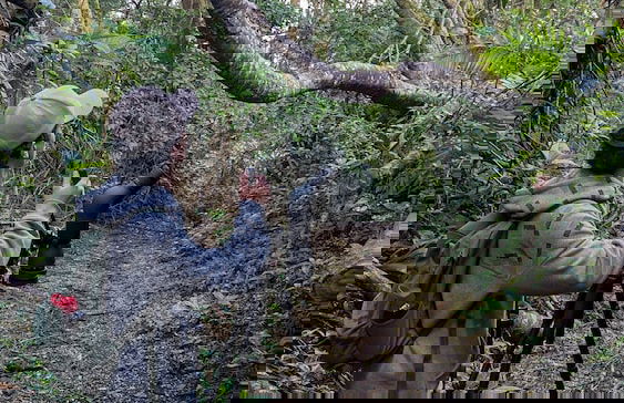 Campos de Oro Wilderness Lodge - Photo 31