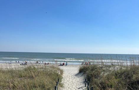 Salt Life - Foto 32