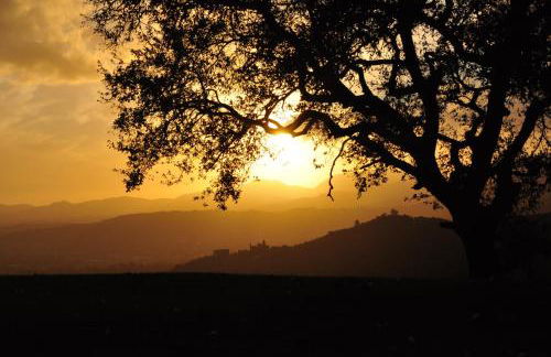 Agriturismo La Forestaria - Foto 43