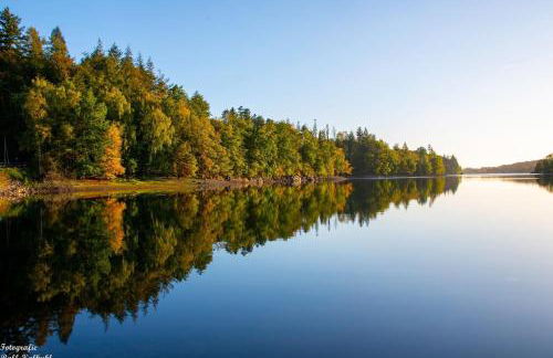 Molehill Shire - Foto 34