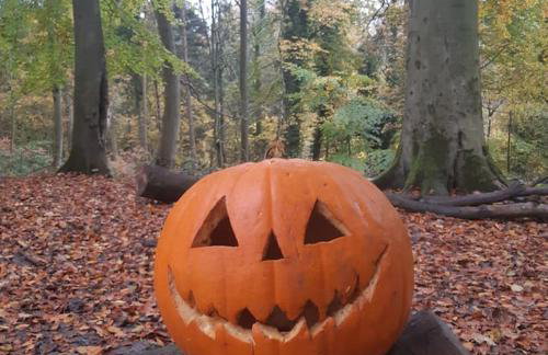 Skipton at Six - Foto 50