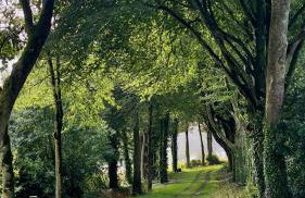 Le Gîte les NUZ ( parc du château de Keroüartz) - Foto 20