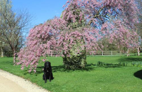 Hewletts Mill - Foto 37