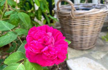 Room TARA Malinska - Foto 21