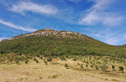 Mas des Anges - Photo 6