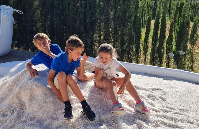 BIBO PARK - Ibiza Botánico Biotecnológico - Foto 8