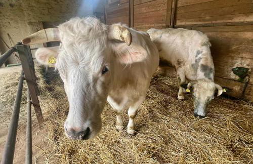 Agriturismo Brusignone - Foto 10