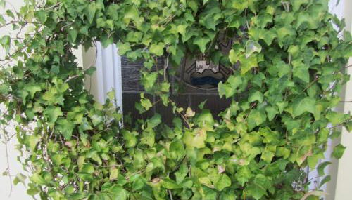 Haus Sonnenblick - Foto 5