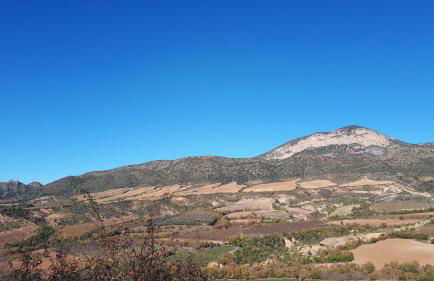 Corral de l'esquirol - Foto 43