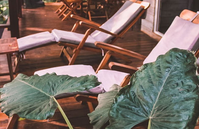 Villa Noelia - Foto 53