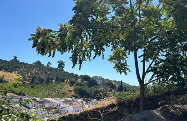 Puerta de los Castañares A - Foto 23
