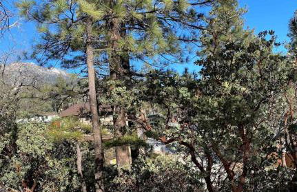 Blissfully Wild -with Hot Tub and pets are welcome - Foto 4