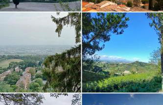 Il nido in collina Bertinoro - Foto 13