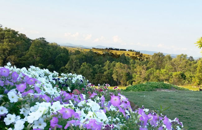 Wine Country Villas - Foto 60