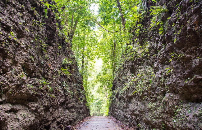 Alaia Studios - Foto 50