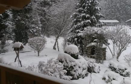 Ferienwohnung Steinbeisser - Foto 18