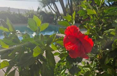 Óbidos Lagoon Refuge - Foto 35