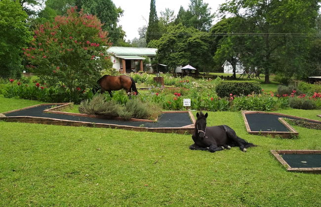 Millgate Cottage - Foto 45