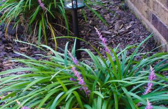 Chic Townhome near LA Tech - Foto 53