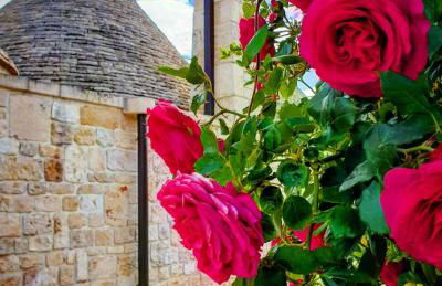 Trulli Pax Animi - Foto 73