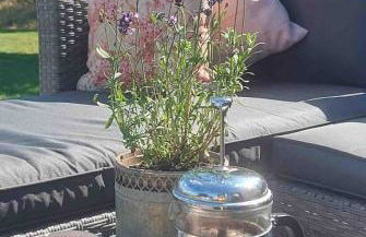 Delightful cosy shepherd's hut at Victorian Station - Foto 11