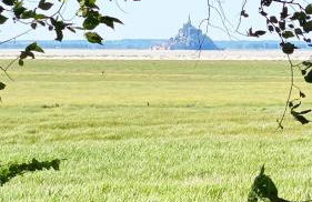 Maison de La Beslière meublé de tourisme 2 étoiles - Foto 30