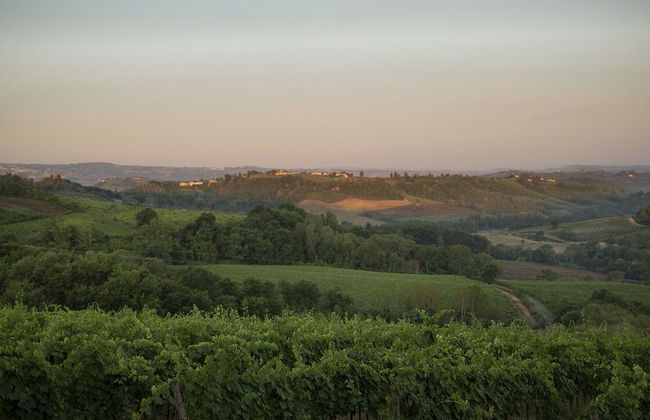 Tenuta Moriano - Foto 47