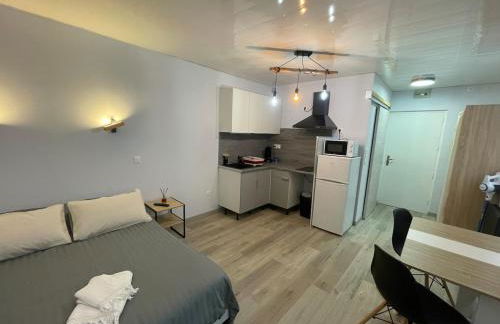 Le nid des sources studio - Foto 1