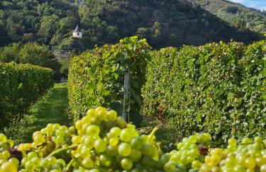 Weingut Gästehaus Bach - Foto 41