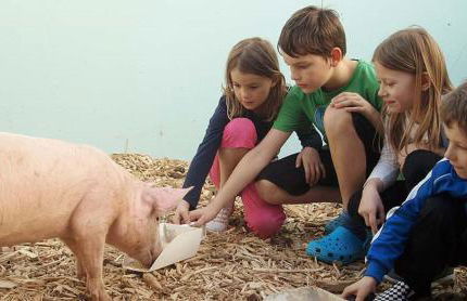 Ferienbauernhof Herrmann - Foto 33