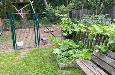 Maison du Grand Pin - Foto 43