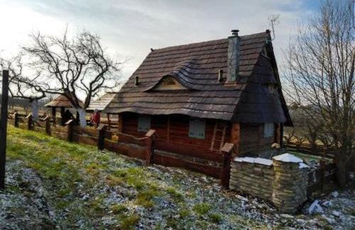 Jabłoniowy Sad Kalwaria Pacławska - Foto 20