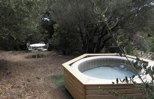 Les bananiers - Foto 12