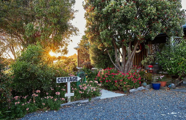 Barnacle Bills - Photo 45