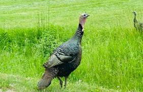 Lakefront Luxury with Private Beach, Sleeps 14 - Foto 45