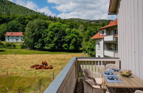 Harz Huus Apartments "Linde" - Foto 23