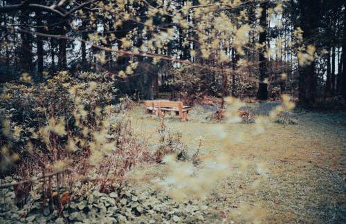 Heatheryhaugh Lodges - Foto 59