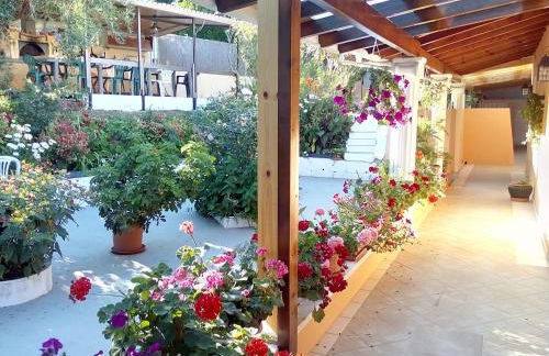 Marika Garden Studios - Foto 7