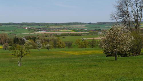Eulennest, Haus Vogelgesang - Foto 4