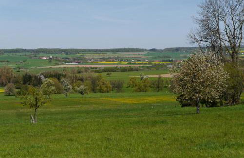 Eulennest, Haus Vogelgesang - Foto 4