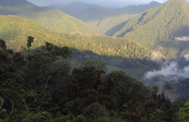 Trilha de 4 dias pelo Parque Nacional Los Quetzales - Foto 1