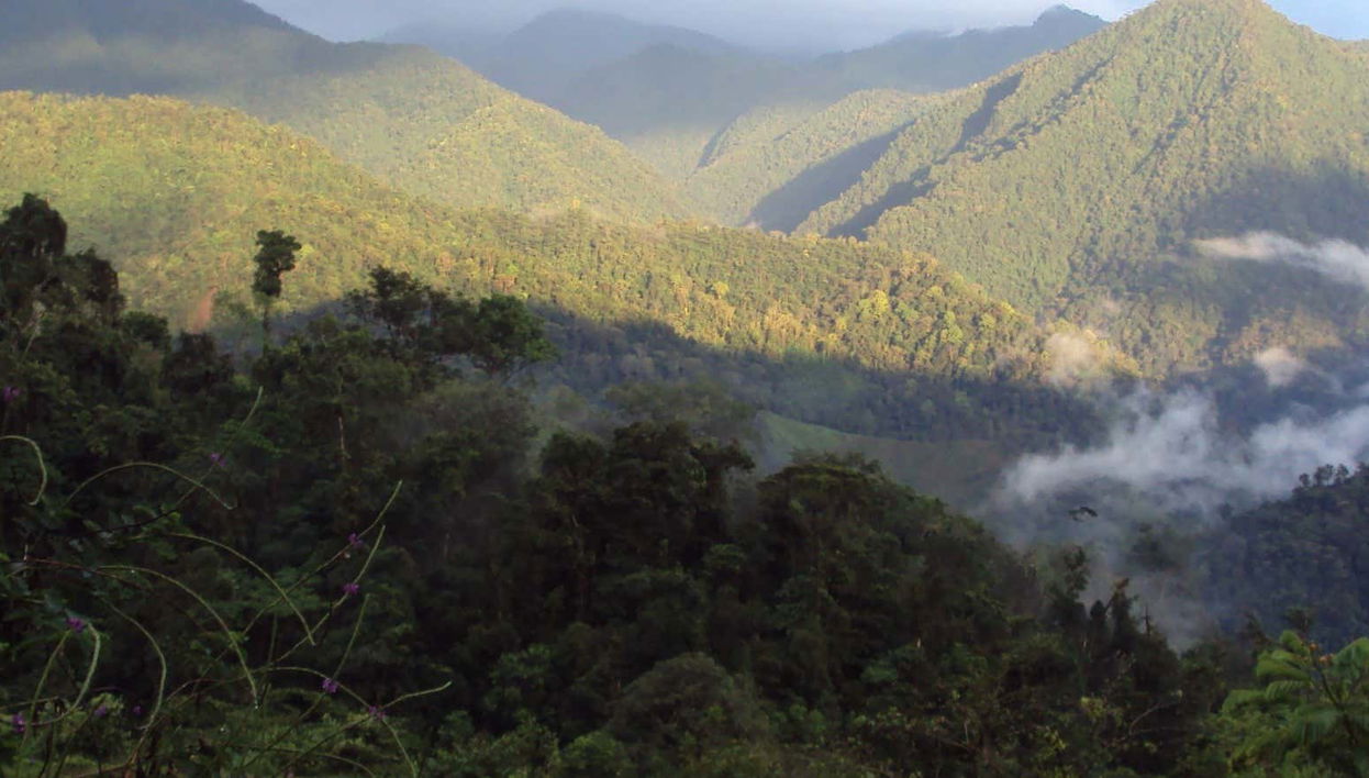 Trilha de 4 dias pelo Parque Nacional Los Quetzales