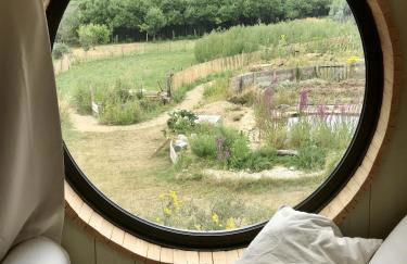 Dernier Ecolodge avant NewYork - Foto 16