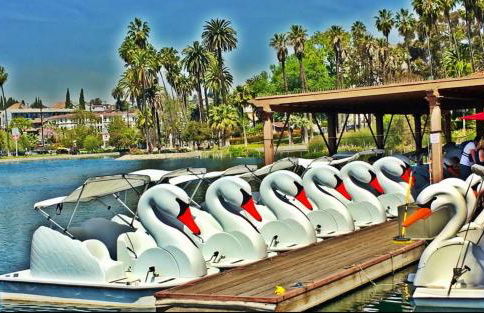 Echo Lake view condo - newly renovated - centrally located - Photo 9