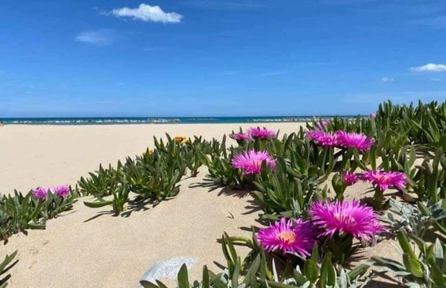 Appartamenti Abate Conchiglia Home - Foto 23