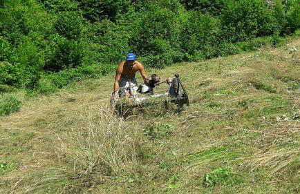 Agriturismo Fiorendo - Photo 21